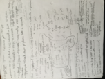 kin 224/223 Metabolism week 2 notes
