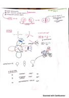 Week 2 notes