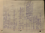 week 2 notes 