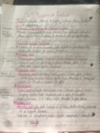 MRCH 1135 Ch. 5: Business of Fashion