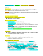 STUDY GUIDE #1