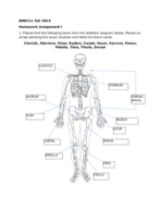 Biomechanics 2