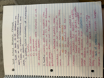 Intro to sociolofy