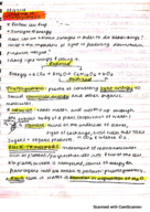 BIO 102, Photosynthesis