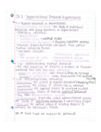 MANA 3318 Ch 1: Organizational Behavior and Opportunity 