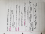 Notes over Gene Expression and Evolution