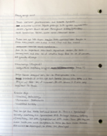 Week 1 Notes: Prehistoric Art and Architecture 