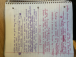bio anthro