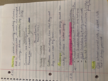 Basic marketing, week 1