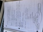 Biology 