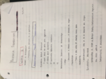 Research Foundations, Week 2: What is Research