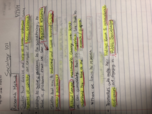 SOCY 101, Week 1 Notes