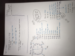 German 101