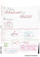 Week 3 notes