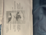 Biology 