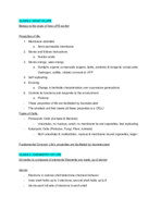 Exam 1 Study Guide