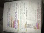 Chp. 2 - Brain and Behavior