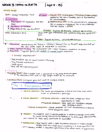 Intro to Anthropology | Week #3
