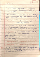 Bio 121 Week 4 