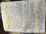 Speech language hearing development chapter 3 