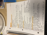 Human services Study guide 