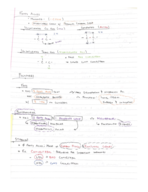BIO 113 Week 4 Notes