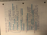 Social psych study guide ch3&4