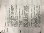 Week Five Notes