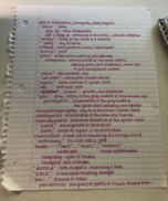 Unit 4 Notes