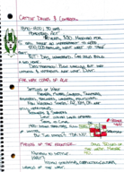US Hist; Week 3