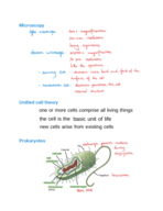 BIO 311C chapter 5