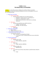 Anatomy and Physiology Lecture #1 notes 