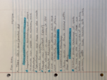 intro to economics 130