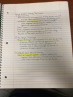 Chapter 7 Notes