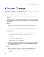 Chapter 5 Notes