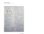 ABIO 217: Cell Biology Week 5 Notes