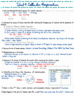 Cellular Respiration