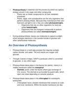 Photosynthesis Notes