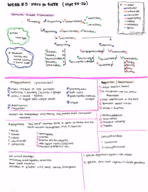 Intro to Anthropology | Week #5