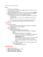 Week 5 Notes: Microbial Genetics