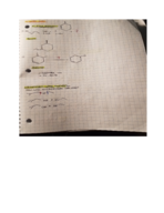 Organic Chemistry Week 5 Notes