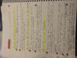 Business law notes
