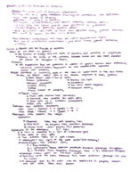 Genetics Study Guide 1
