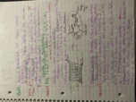 RCO 252 class notes/ study guide for exam 2