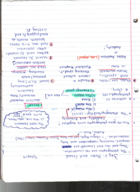Week 4 Notes 