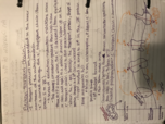 Bio 2112- week 7 Notes (Wednesday)