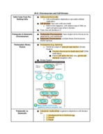 BIO101 Ch. 8 Notes