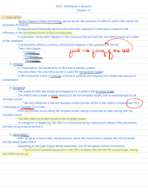 BIOL 198 Module 4 Transcription