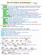 Cell Division and Gel Electrophoresis 