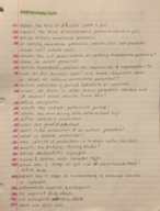 PSYC 385